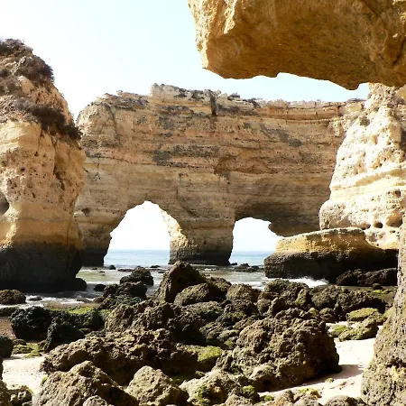 Villa Casa Shambala *